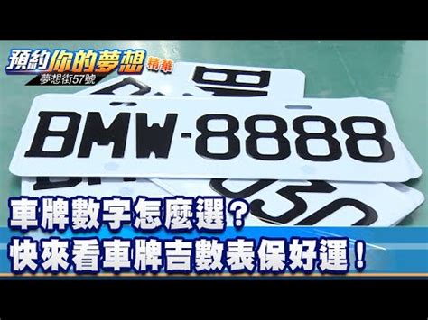 幸運車牌數字|避開兇數！車牌攻略